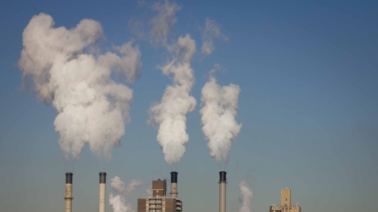 (English) Corporate Responsibility Campaign